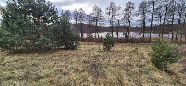 Działka budowlana Brodnica. Zdjęcie 1