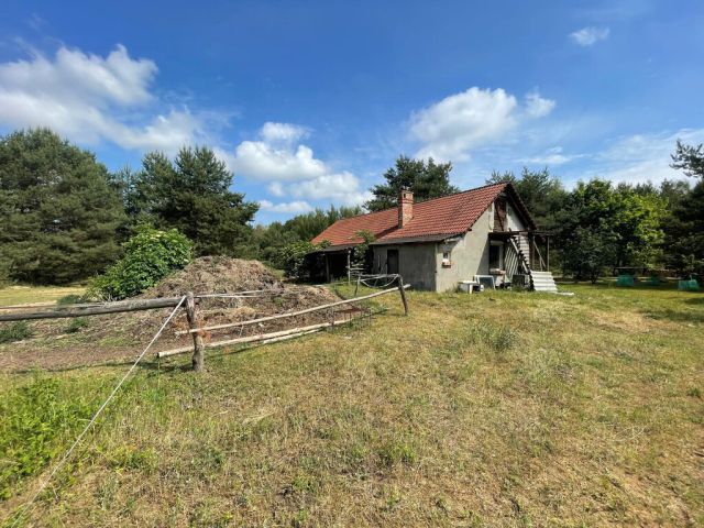 Działka rekreacyjna Osieczna. Zdjęcie 34