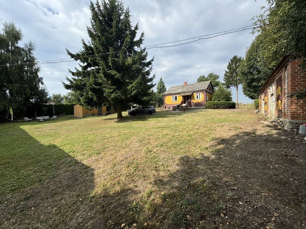 siedlisko Mołodiatycze. Zdjęcie 2