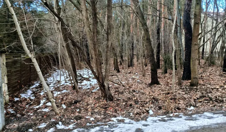 Działka leśna Legionowo, ul. Aleja Legionów