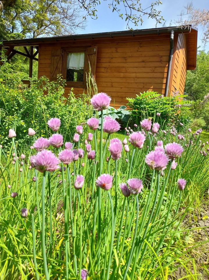 Działka rod Kraków Bronowice, ul. Mydlnicka. Zdjęcie 8