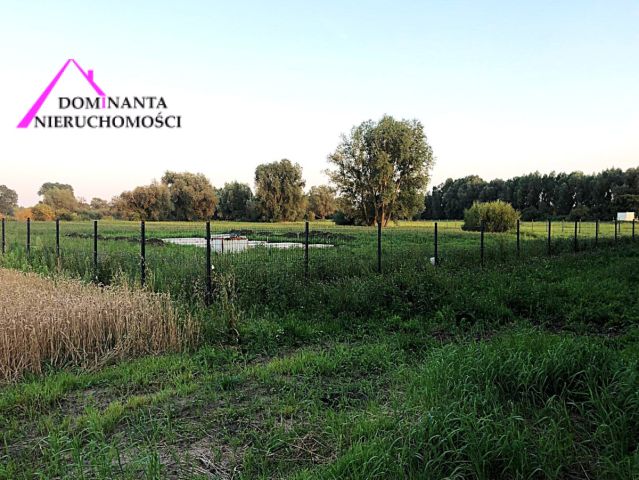 Działka siedliskowa Radunica, ul. Klewrowa. Zdjęcie 5