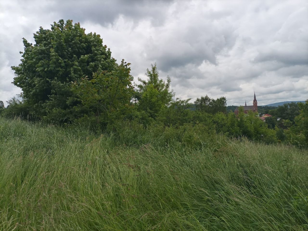 Działka budowlana Równe, ul. Pocztowa. Zdjęcie 8