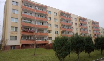 Mieszkanie 3-pokojowe Poznań Głuszyna, ul. Głuszyna