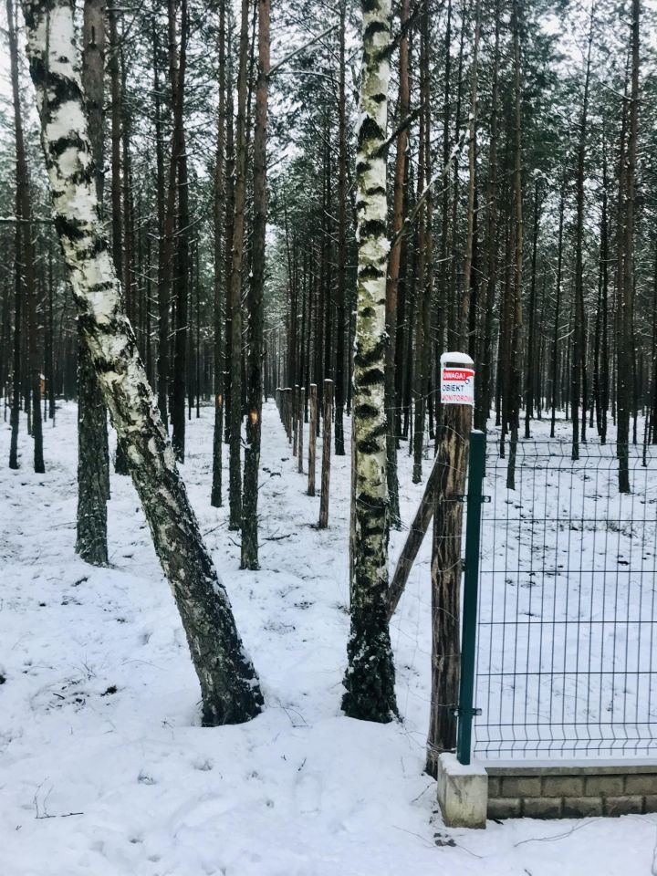 Działka leśna Broda. Zdjęcie 4