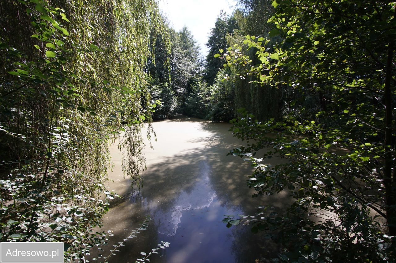 dom wolnostojący, 5 pokoi Radogoszcz. Zdjęcie 5