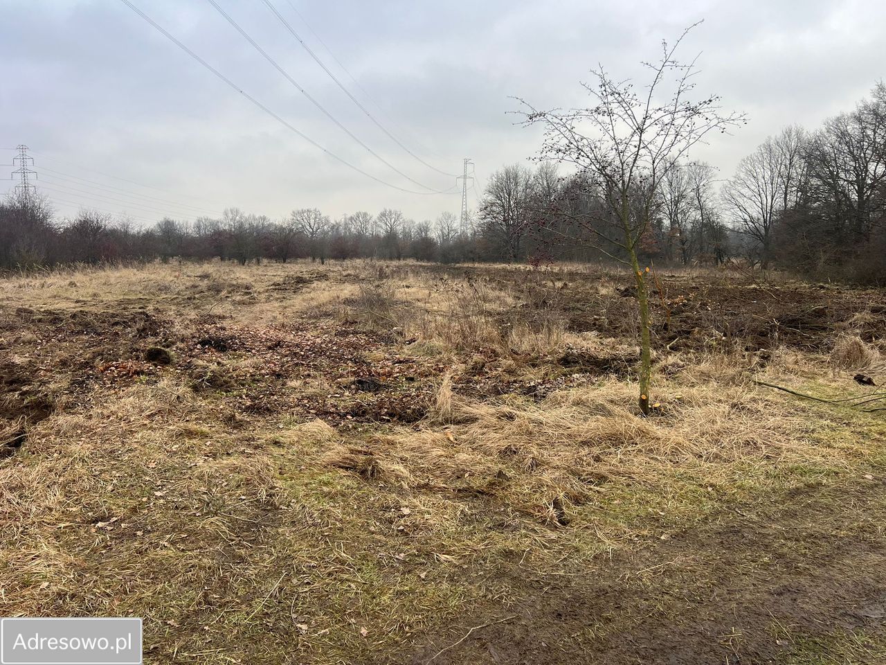 Działka Siechnice. Zdjęcie 1