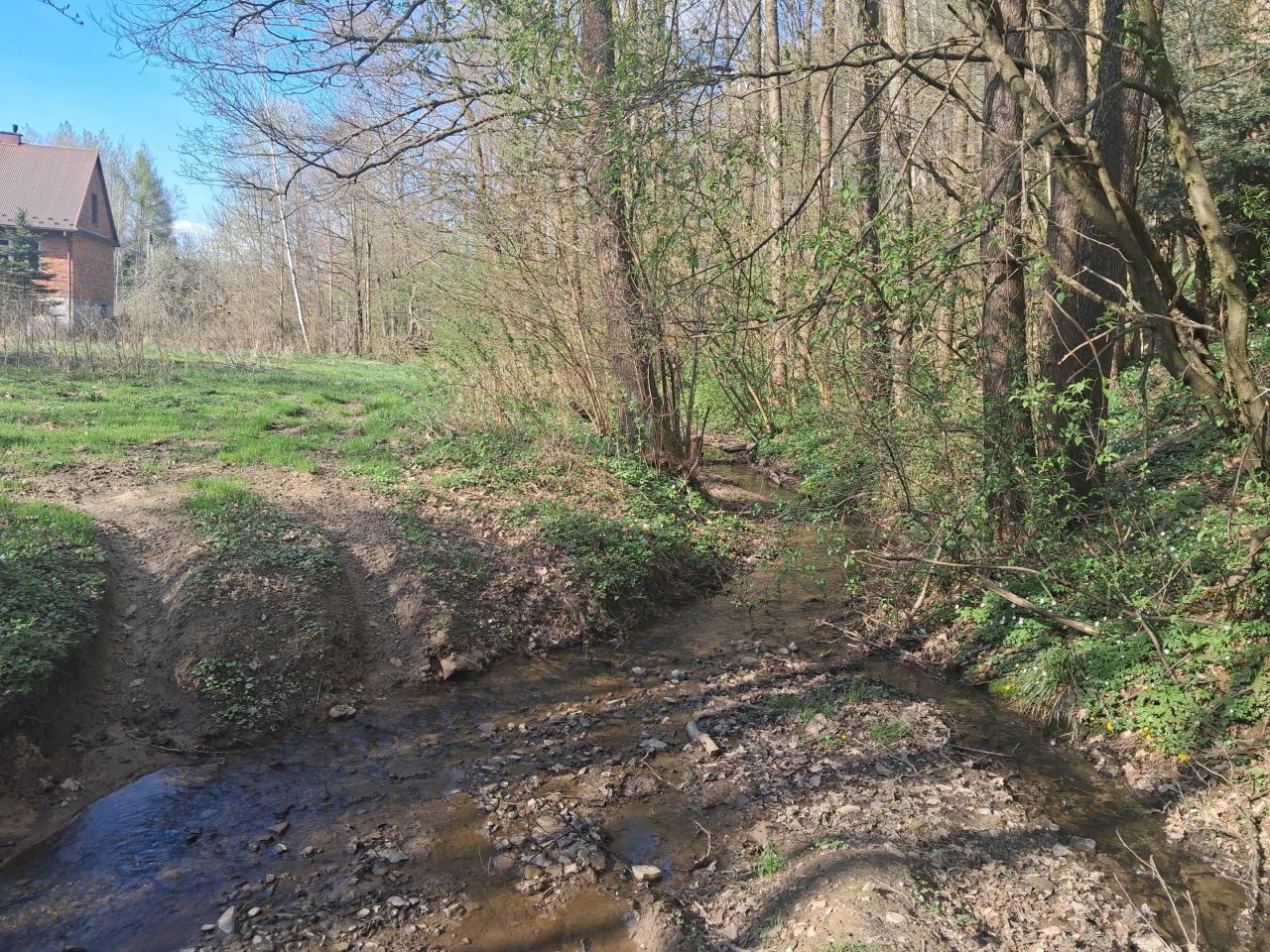Działka leśna Lipnica Dolna, BRAK. Zdjęcie 14