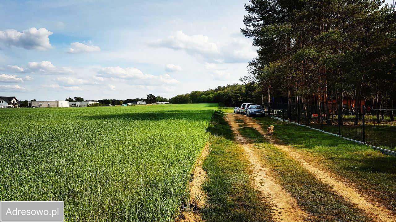 Działka budowlana Sokolniki. Zdjęcie 6