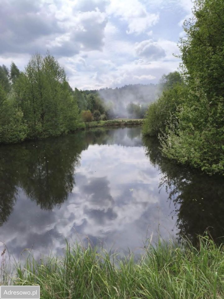 Działka rolno-budowlana Zalesiczki. Zdjęcie 5