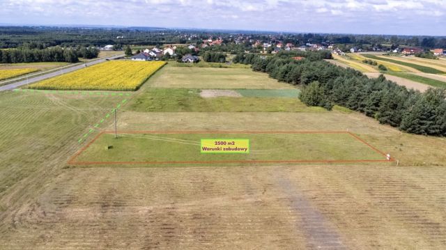 Działka budowlana Gniewczyna Tryniecka. Zdjęcie 6