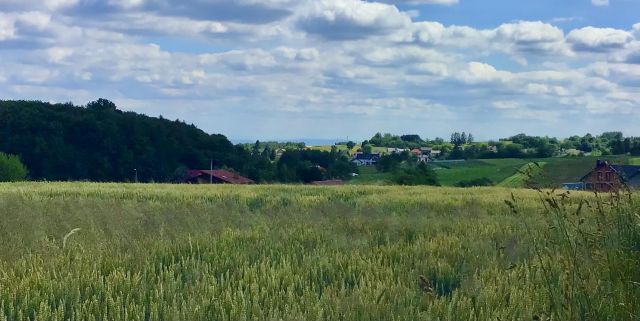 Działka budowlana Cianowice Pod Skałkami, ul. Słoneczna. Zdjęcie 1