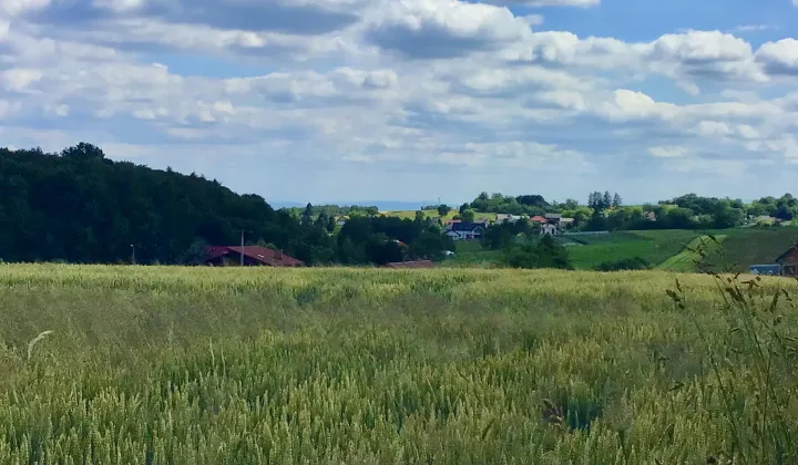 Działka budowlana Cianowice Pod Skałkami, ul. Słoneczna