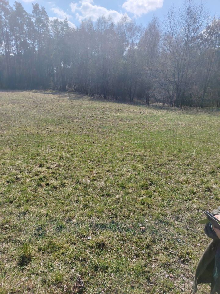 Działka rolno-budowlana Godzimierz. Zdjęcie 1