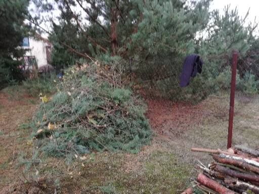 Działka budowlana Biała Podlaska Pieńki, ul. Iglasta. Zdjęcie 1