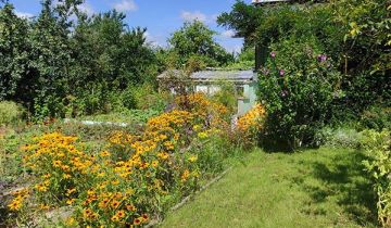 Działka rod Tarnobrzeg Wymysłów, ul. Modrzewiowa