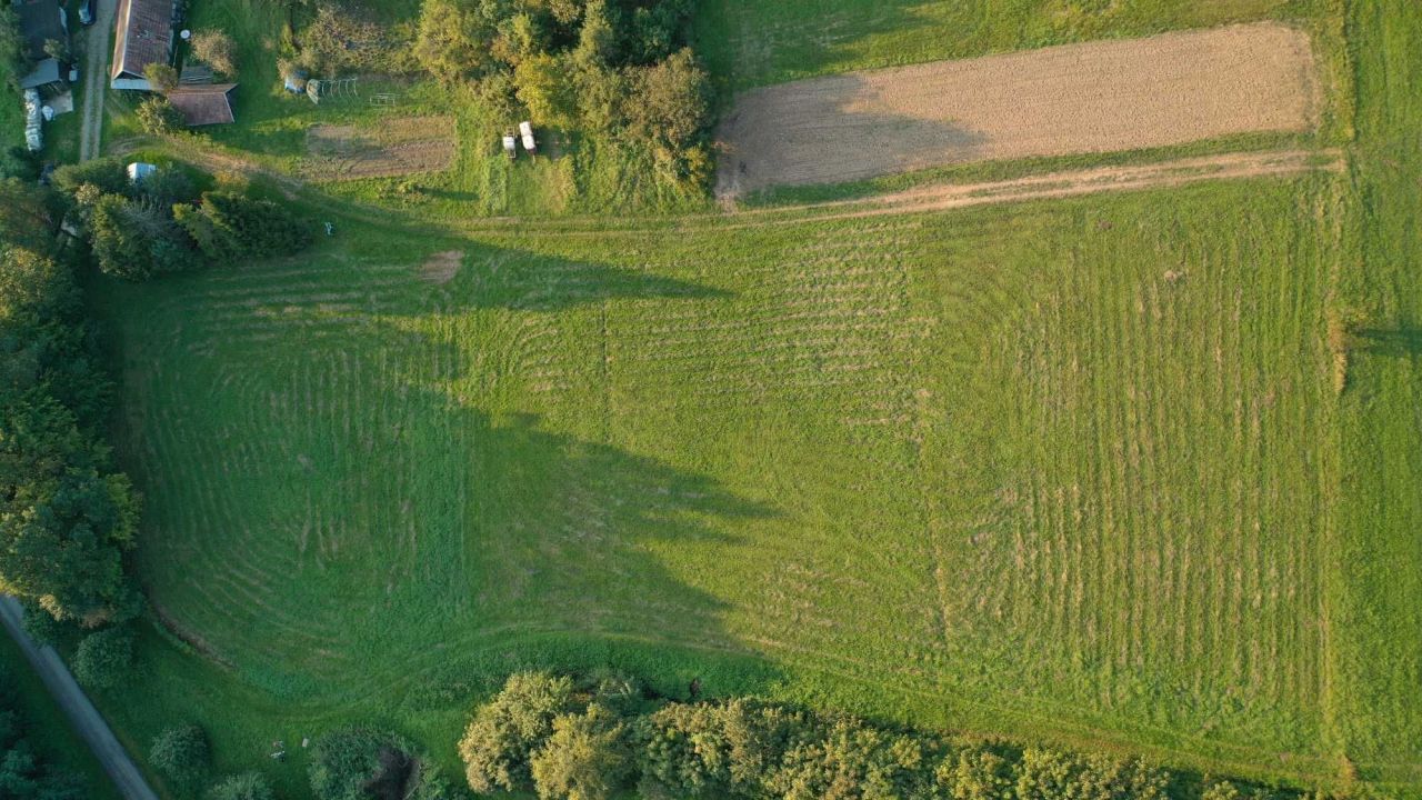Działka rolna Szymbark. Zdjęcie 3
