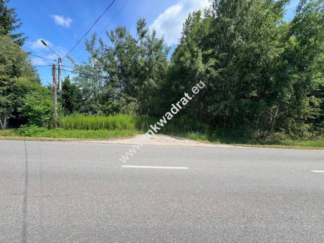 Działka budowlana Radonie. Zdjęcie 5
