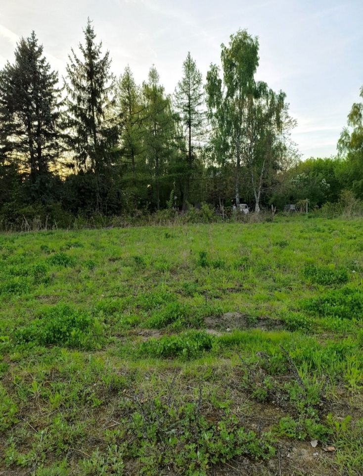Działka budowlana Skierniewice Halinów. Zdjęcie 8