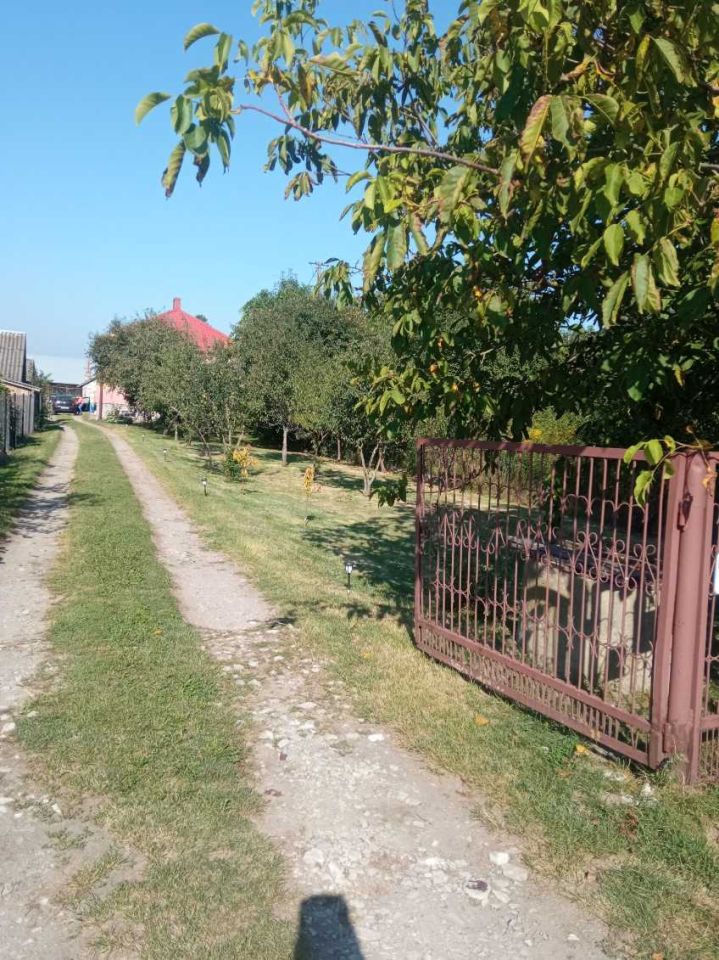 dom wolnostojący, 4 pokoje Żuków. Zdjęcie 6