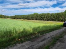 Działka rolna Studzianna. Zdjęcie 2