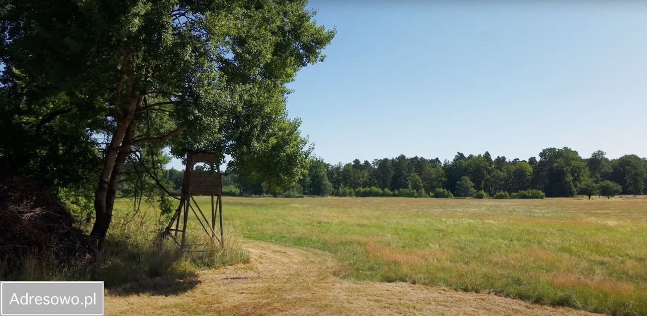 Działka rolna Dobrochów. Zdjęcie 4