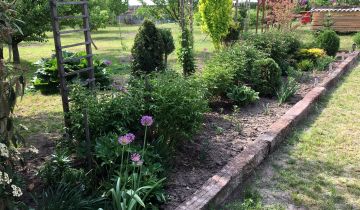 dom wolnostojący, 2 pokoje Chłaniów-Kolonia