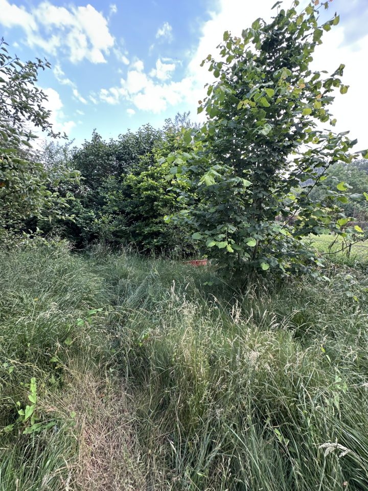 Działka rod Tarnów Mościce, ul. Azotowa. Zdjęcie 2