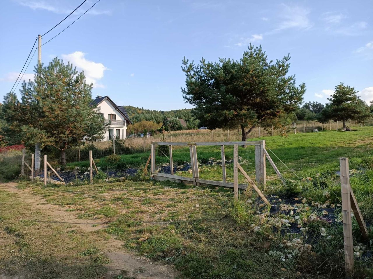 Działka budowlana Ryczówek. Zdjęcie 2