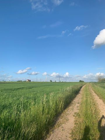 Działka budowlana Iwięcino. Zdjęcie 1