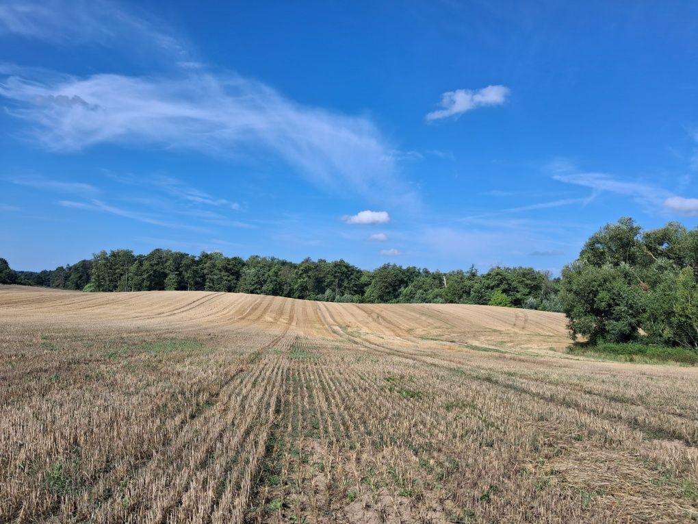 Działka rolna Smuga. Zdjęcie 4