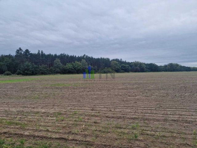 Działka budowlana Nowy Dwór. Zdjęcie 9