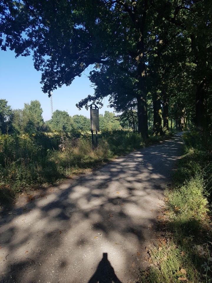 Działka budowlana Pszczyna Stara Wieś, ul. Łowiecka. Zdjęcie 9