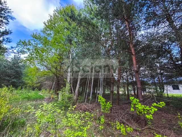 Działka budowlana Zalesie. Zdjęcie 3