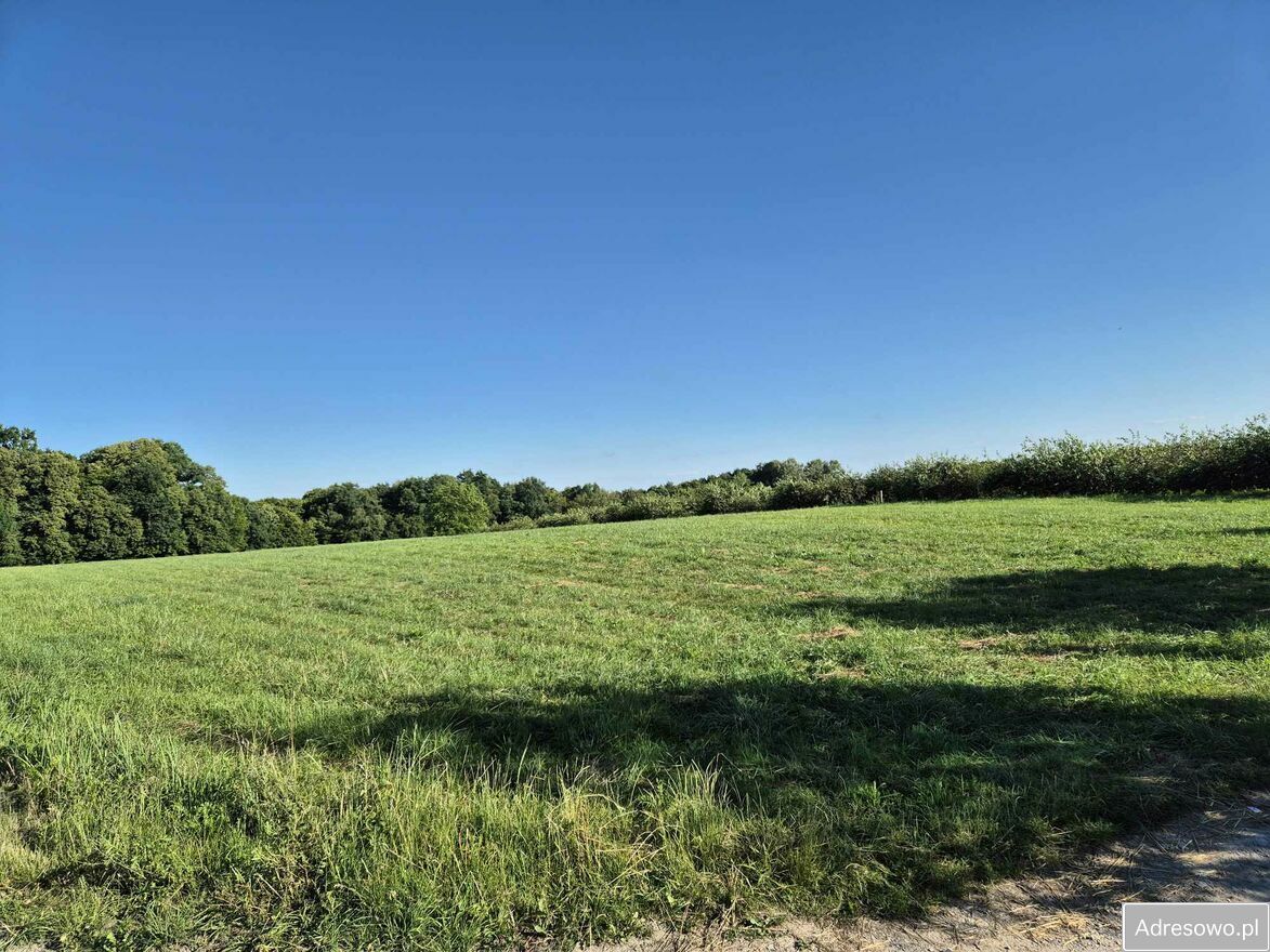 Działka rolno-budowlana Kazimierz Dolny Wylągi. Zdjęcie 4