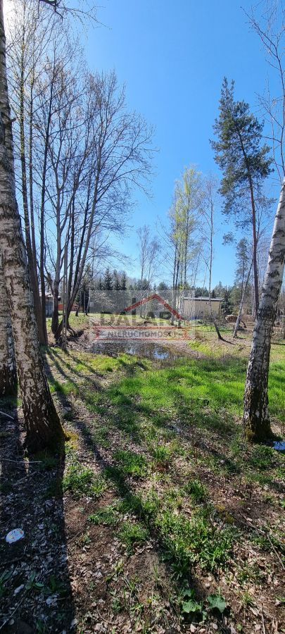 Lokal Sierzchów. Zdjęcie 12