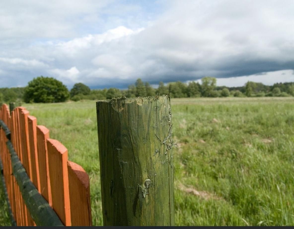Działka inwestycyjna Lubiatowo, ul. Rdestowa