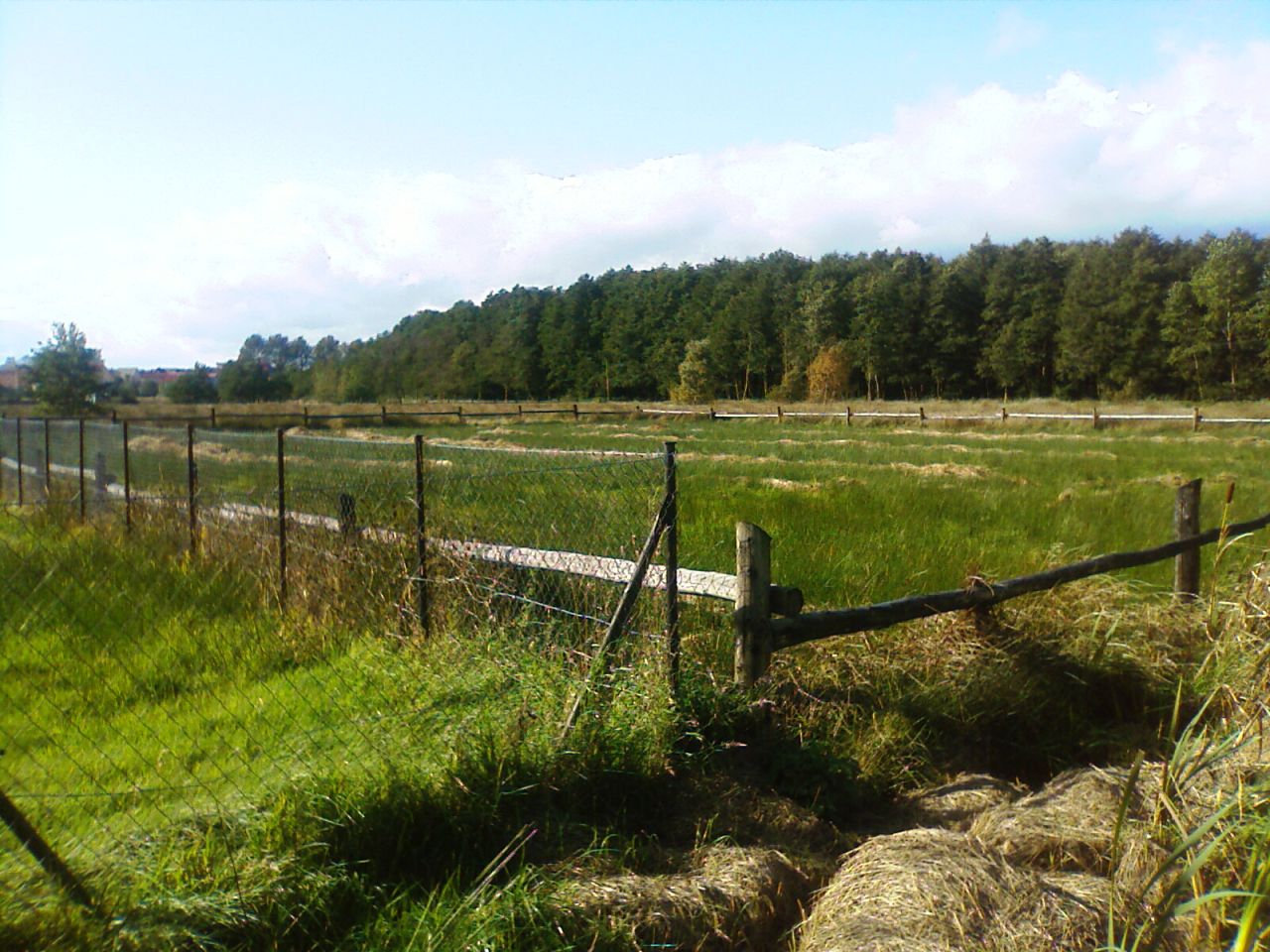 Działka rolna Białogóra. Zdjęcie 6