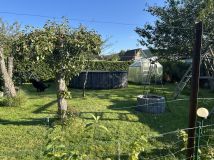 Działka rod Gdynia Działki Leśne, ul. Hutnicza. Zdjęcie 4