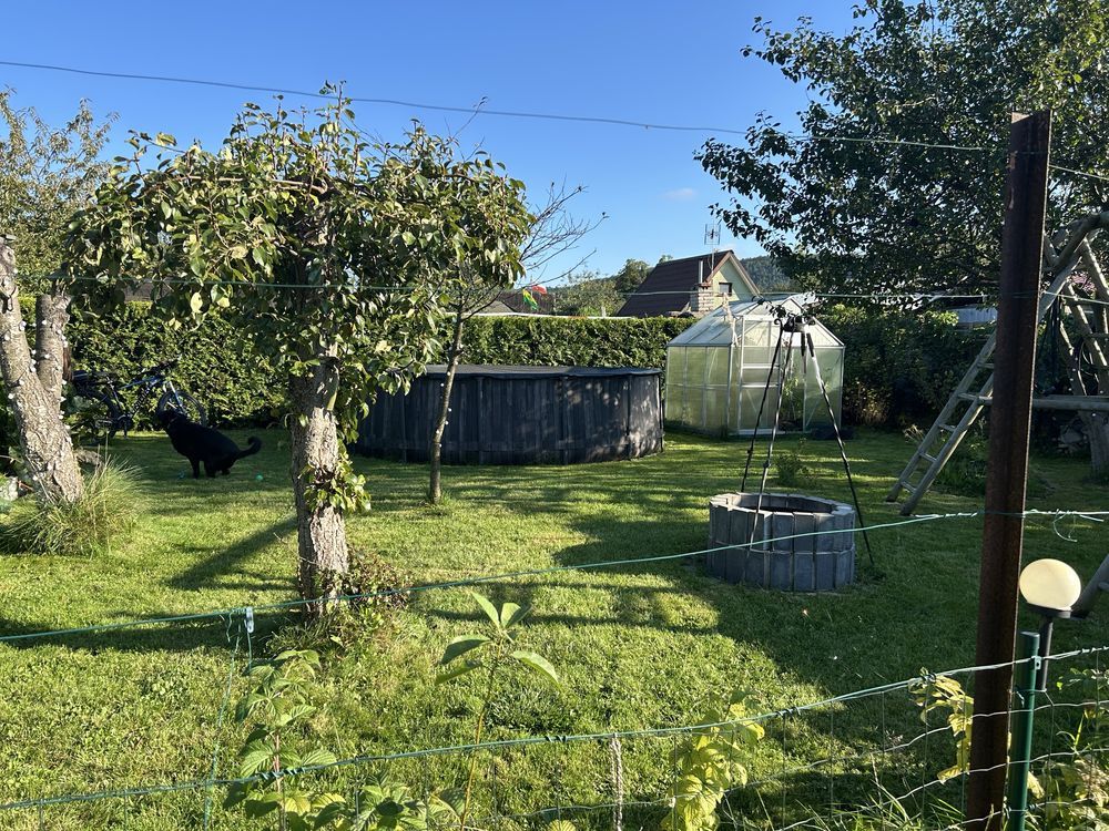 Działka rod Gdynia Działki Leśne, ul. Hutnicza. Zdjęcie 5