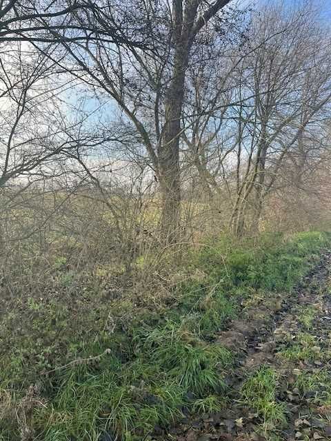 Działka rolno-budowlana Konopnica. Zdjęcie 7