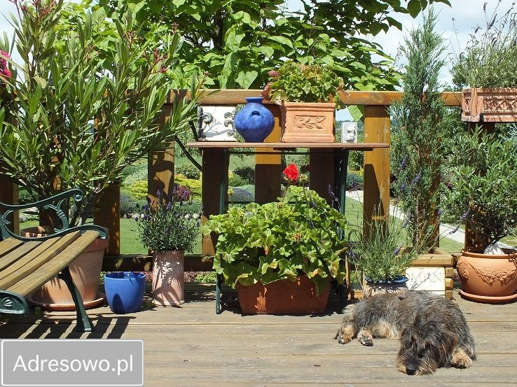 dom wolnostojący, 3 pokoje Gałązki Wielkie. Zdjęcie 12