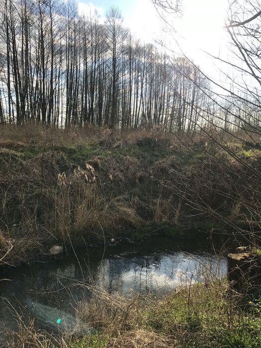 bliźniak Gęsie Góry Kudwiny. Zdjęcie 5