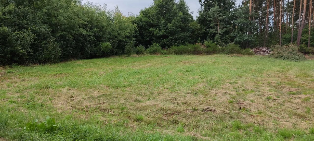 Działka rolno-budowlana Borzęcin Czarnawa. Zdjęcie 5