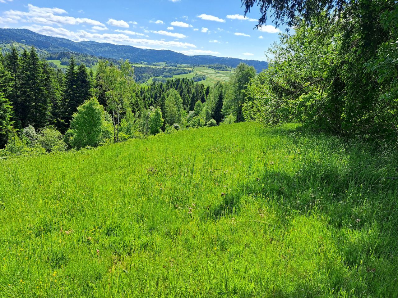 Działka rekreacyjna Rdzawka. Zdjęcie 8