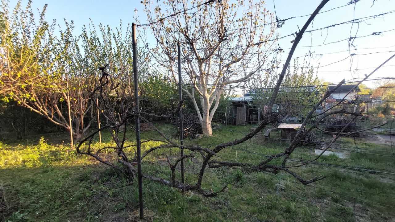 Działka rod Koszalin. Zdjęcie 8