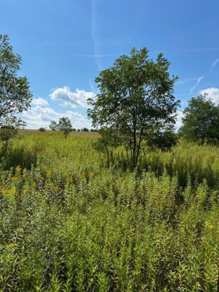Działka inna Ruda Śląska Bielszowice. Zdjęcie 3