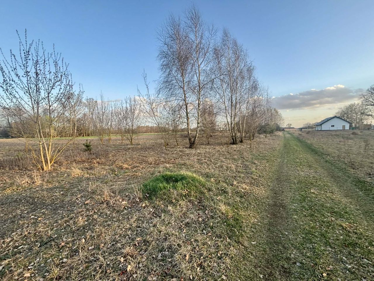 Działka budowlana Adamowa Góra, ul. Klonowa. Zdjęcie 3