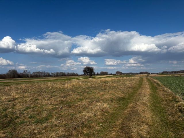Działka budowlana Żołynia Bikówka. Zdjęcie 1