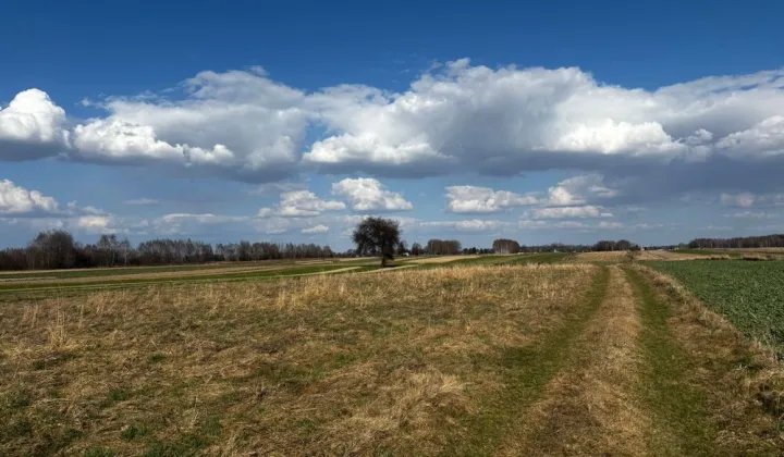 Działka budowlana Żołynia Bikówka